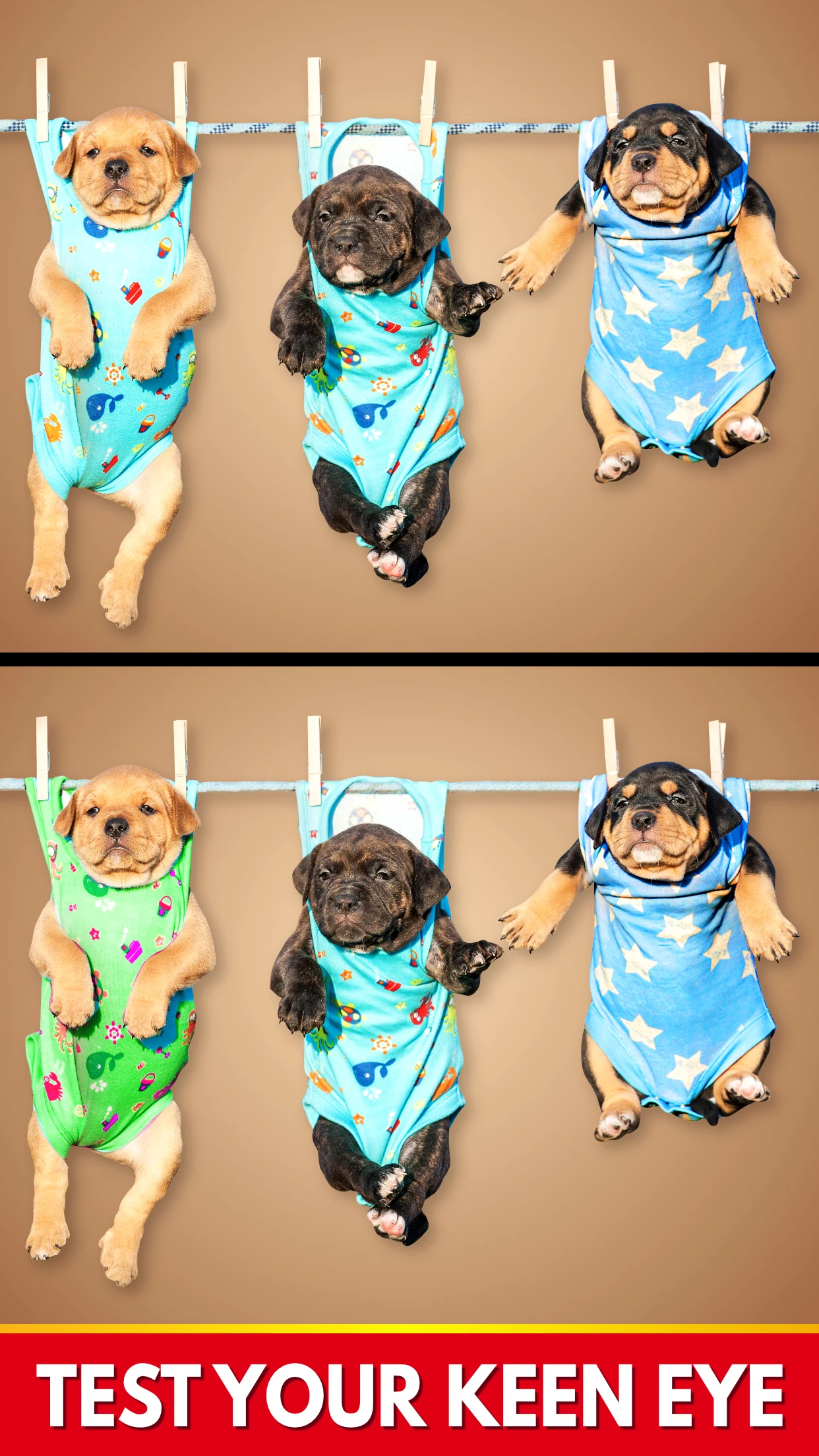 Find The Differences - Spot it screenshot